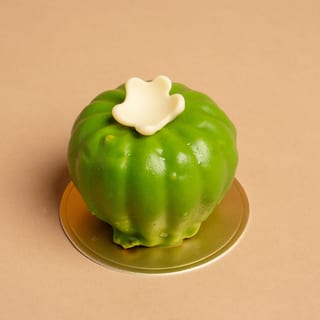 Cactus raspberry pistachio